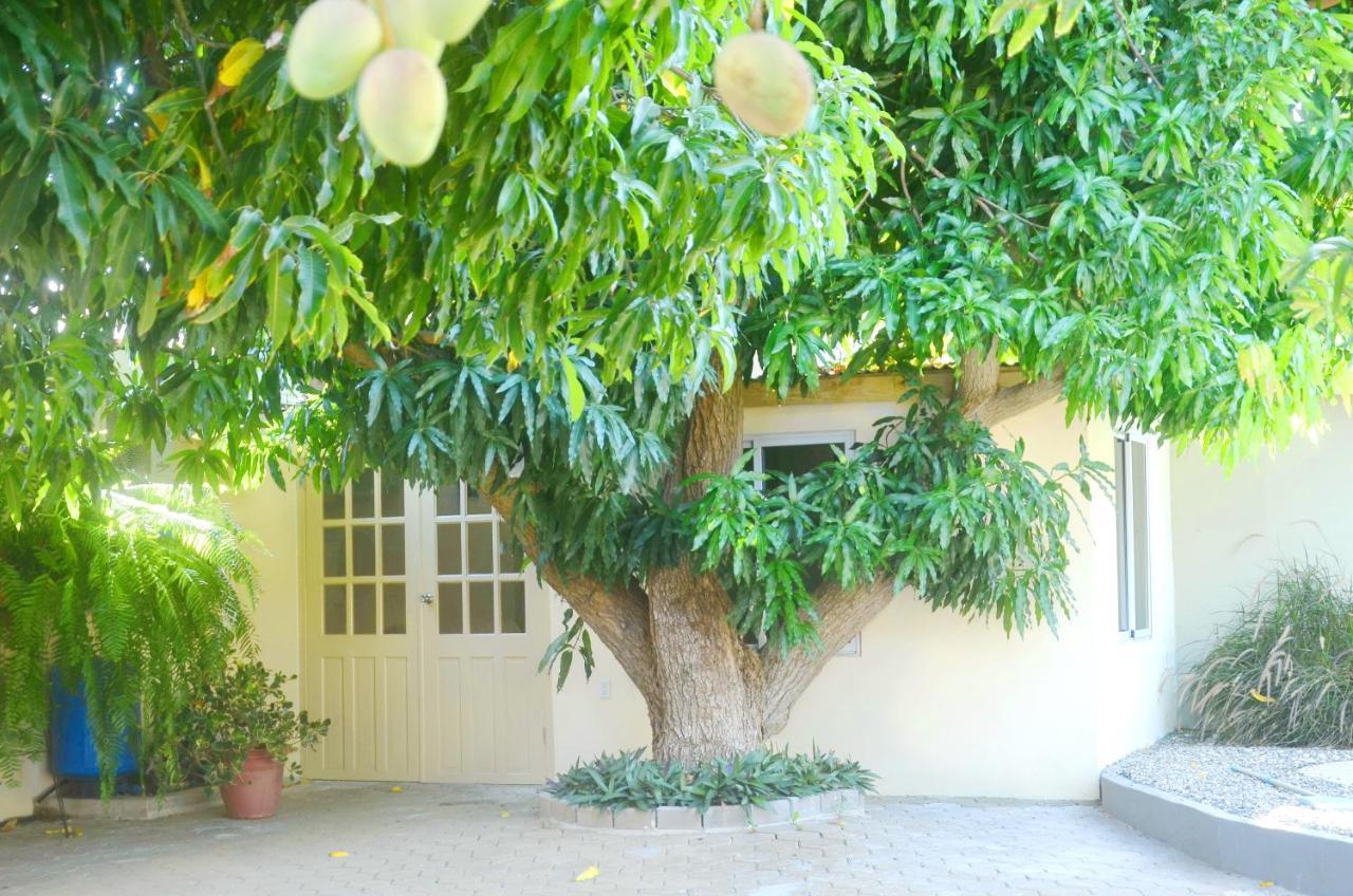 Homey Vacation And Carrental Willemstad Dış mekan fotoğraf